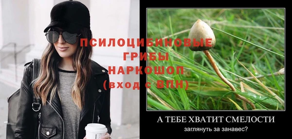 трава Галич
