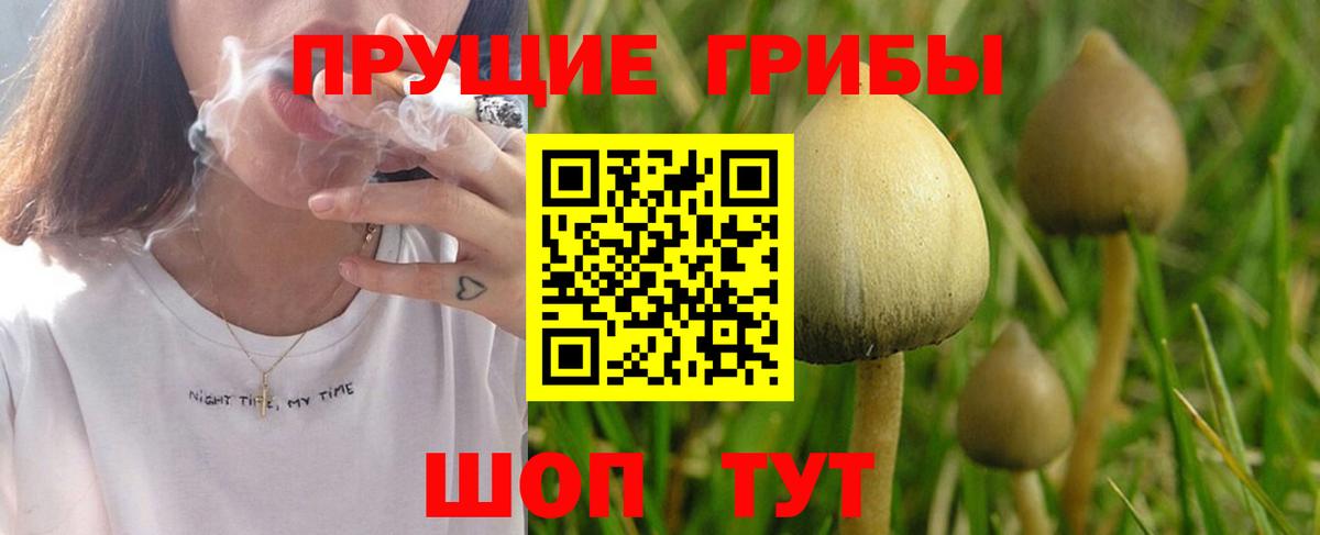 Галлюциногенные грибы мухоморы Апрелевка